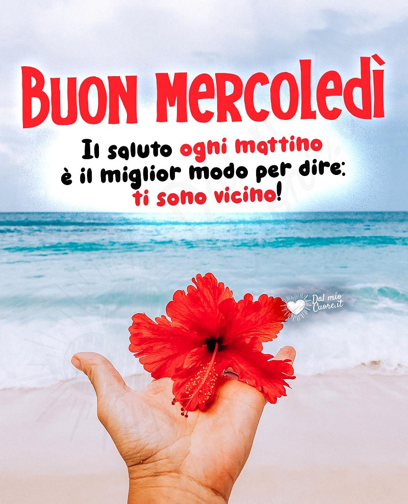 Buon mercoledì con frase sull'amicizia