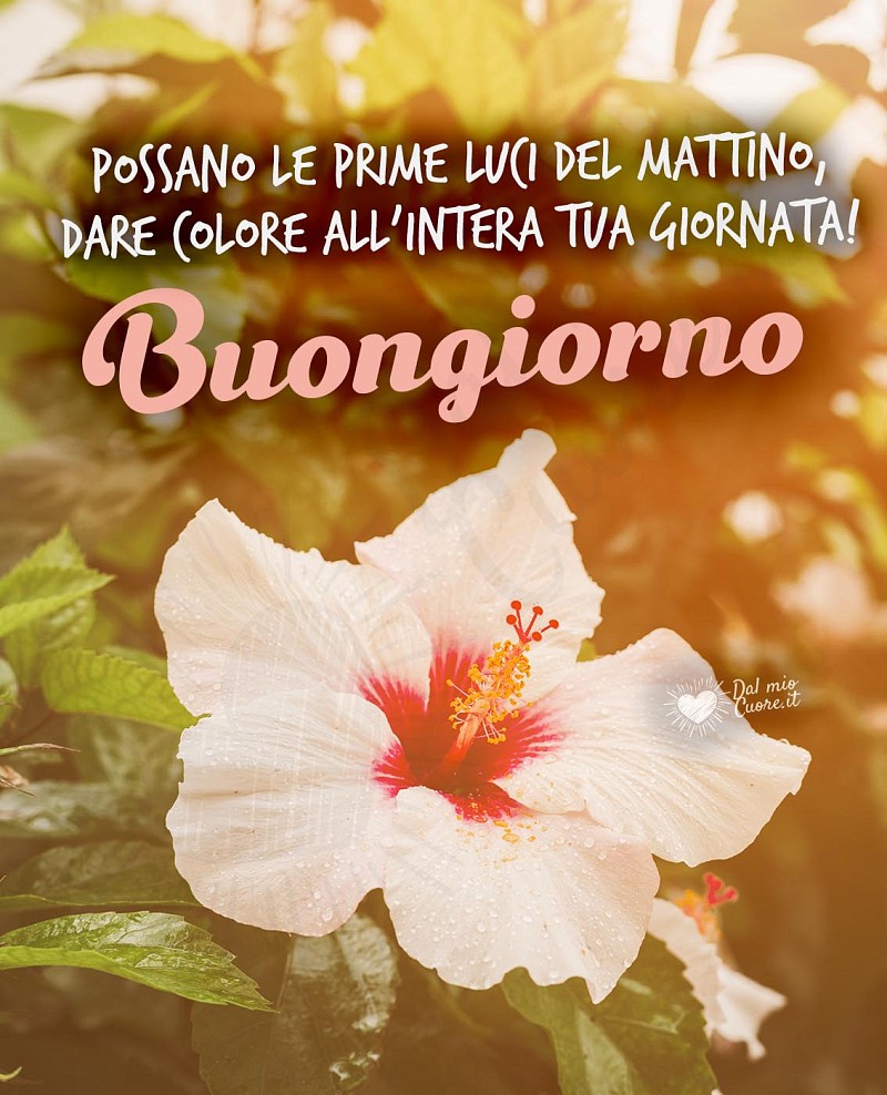 Buongiorno con frase: Possano le prime luci del mattino, dare colore all’intera tua giornata!