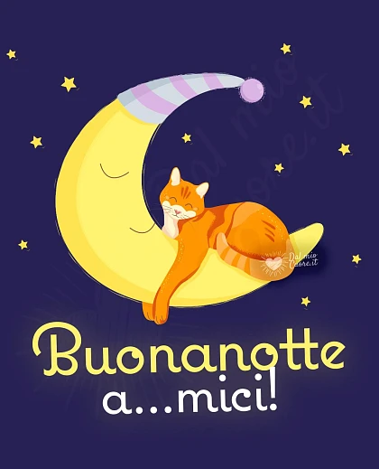 Buonanotte a...mici! Divertente con gatto
