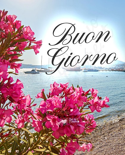 Buongiorno con fiori di oleandro sul mare