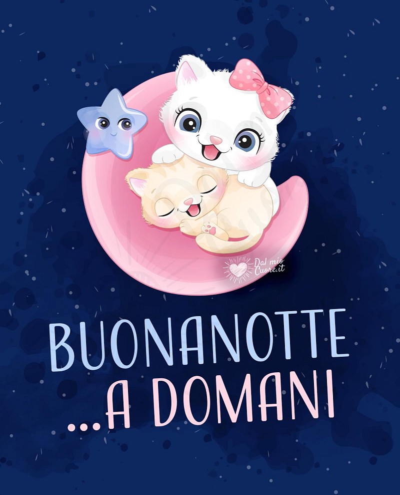 Buonanotte a domani, con gattini