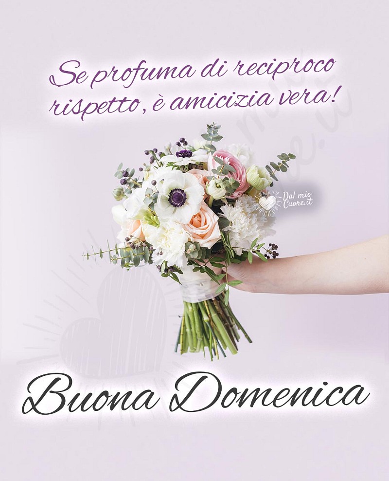Buona domenica con frase sull'amicizia