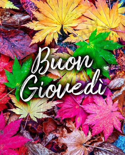 Buon giovedì autunnale