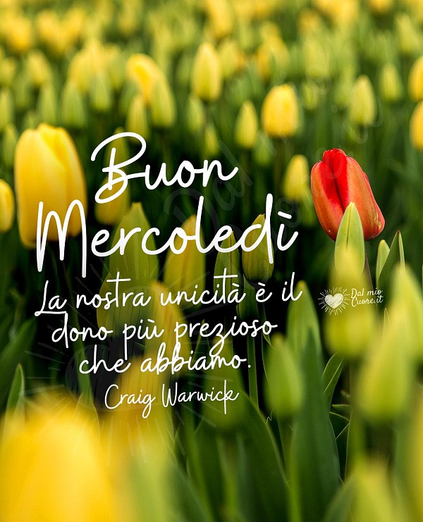 Buon mercoledì con fiori e frase sull'unicità