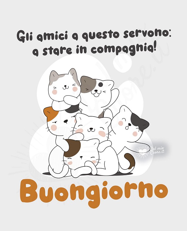Gli amici a questo servono: a stare in compagnia! Buongiorno