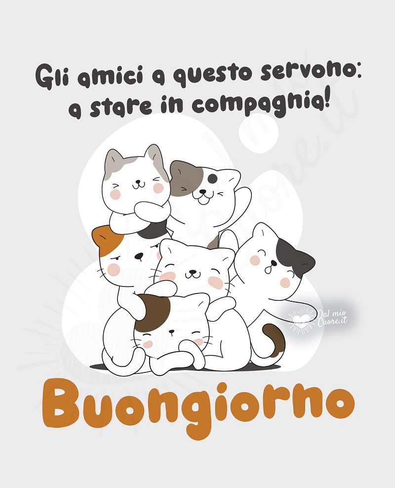 Gli amici a questo servono: a stare in compagnia! Buongiorno