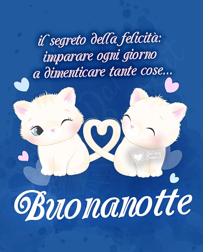 Il segreto della felicità: imparare ogni giorno a dimenticare tante cose... Buonanotte (frasi)