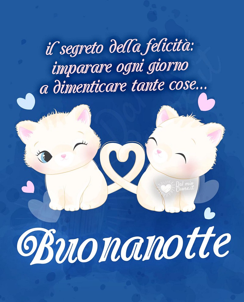 Il segreto della felicità: imparare ogni giorno a dimenticare tante cose... Buonanotte (frasi)