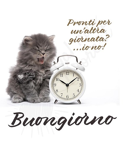 Pronti per una nuova giornata? ...io no! Buongiorno (divertente)