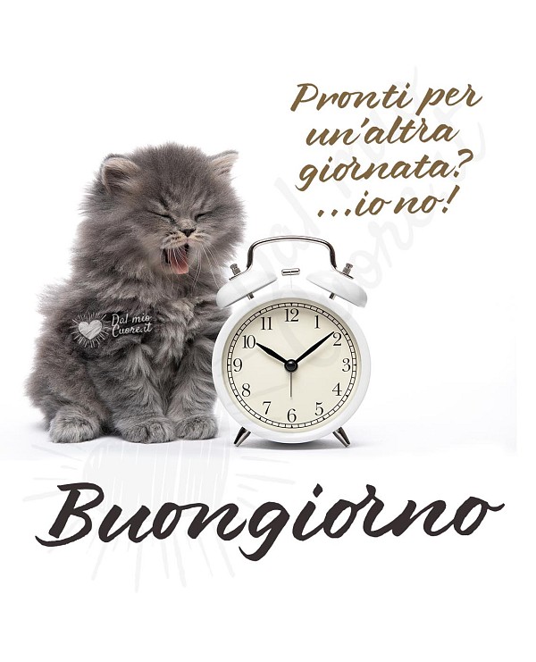 Pronti per una nuova giornata? ...io no! Buongiorno (divertente)