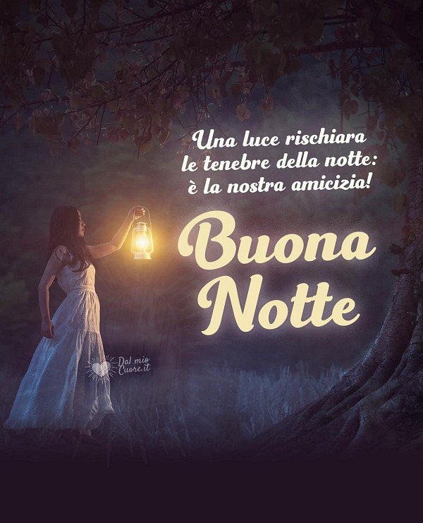 Una luce rischiara le tenebre della notte: è la nostra amicizia! Buona Notte (frasi)
