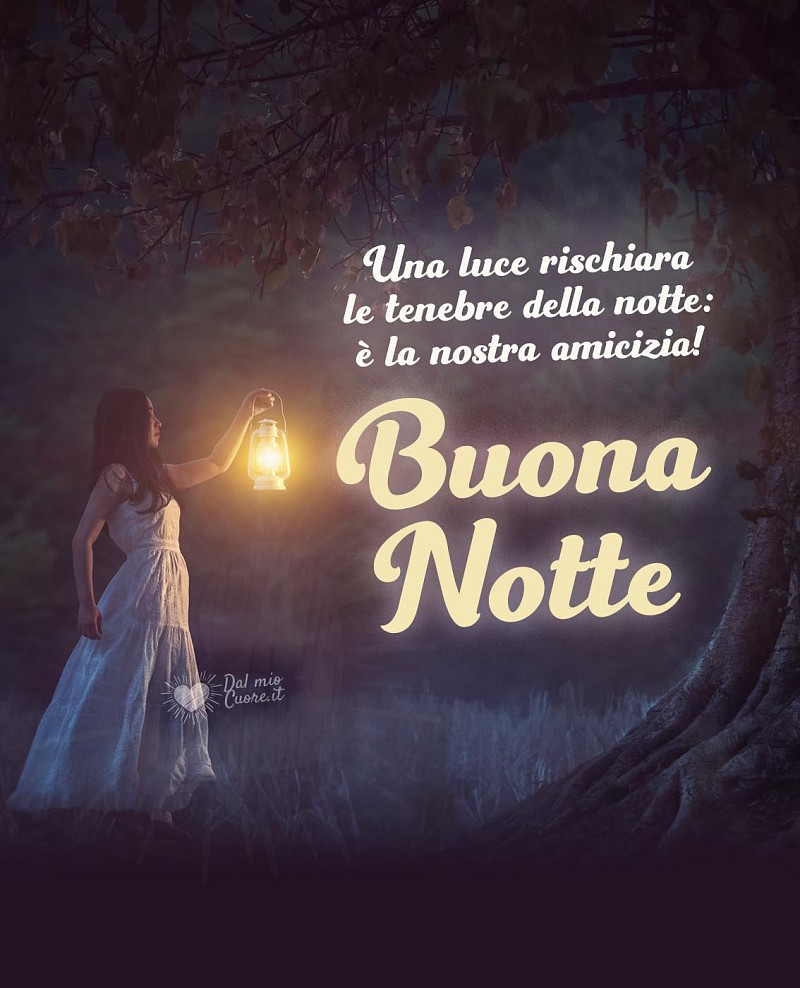 Una luce rischiara le tenebre della notte: è la nostra amicizia! Buona Notte (frasi)