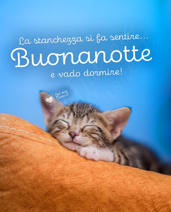 La stanchezza si fa sentire... buonanotte e vado dormire!