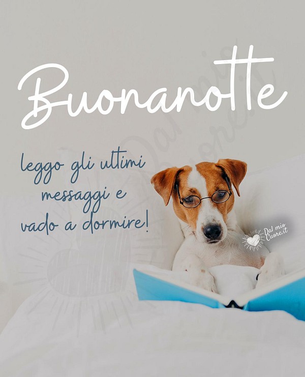 Leggo gli ultimi messaggi e vado a dormire! Buonanotte divertente con cagnolino