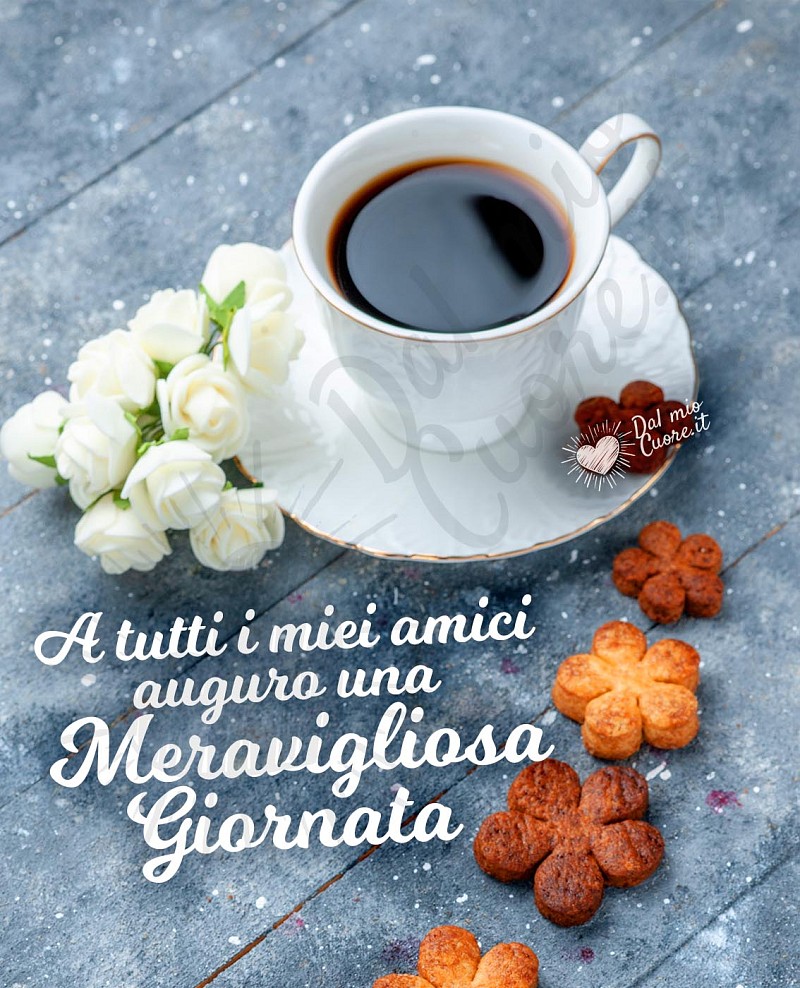 A tutti i miei amici auguro una meravigliosa giornata