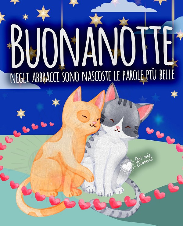 Buonanotte frasi. Negli abbracci sono nascoste le parole più belle