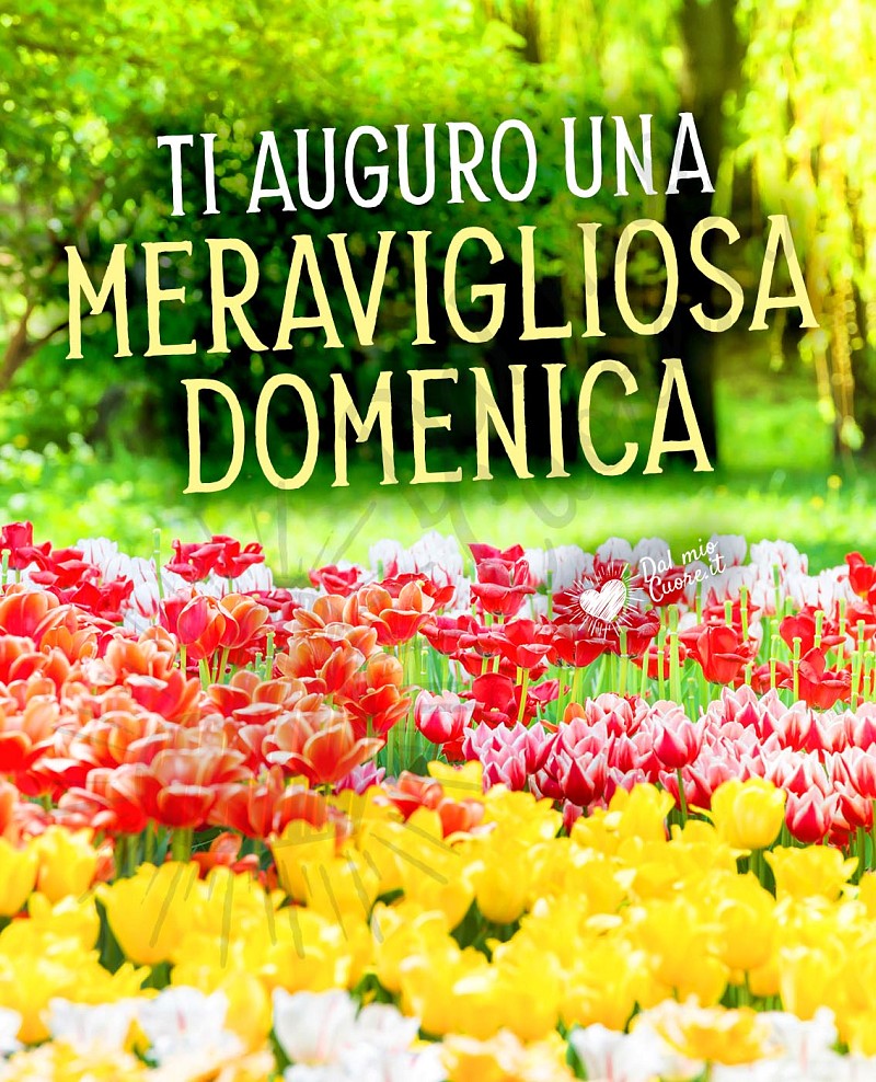 Ti auguro una meravigliosa domenica