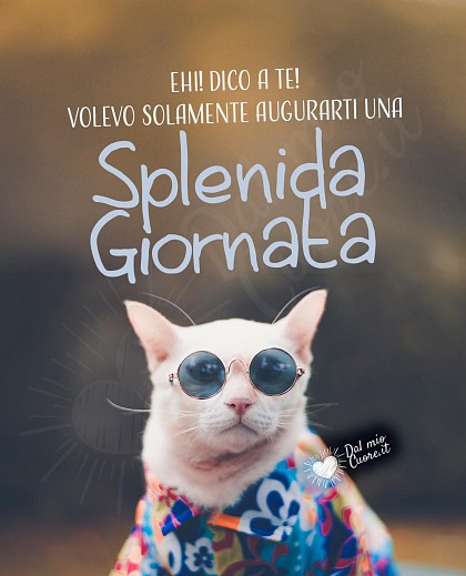 Ehi! Dico a te! Volevo solamente augurarti una splendida giornata