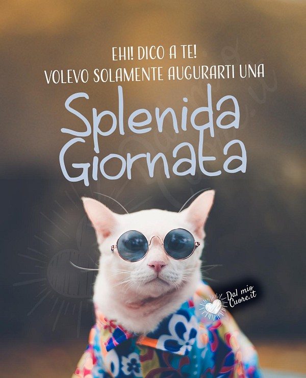 Ehi! Dico a te! Volevo solamente augurarti una splendida giornata