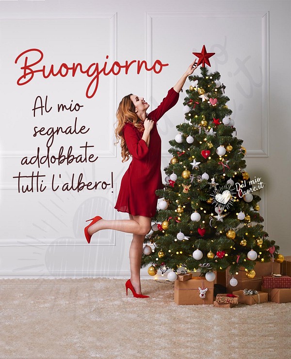 Al mio segnale, addobbate tutti l'albero! Buongiorno