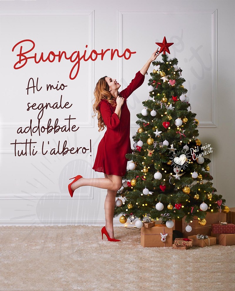 Al mio segnale, addobbate tutti l'albero! Buongiorno
