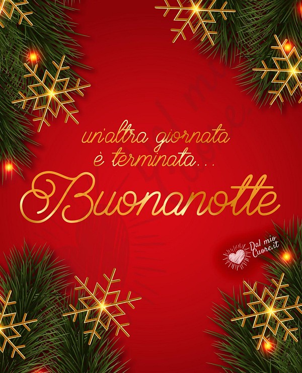 Un'altra giornata è terminata. Buonanotte natalizia
