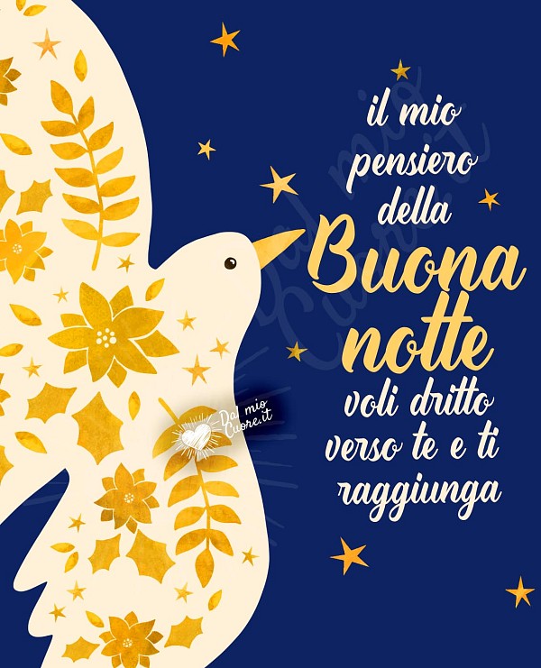 Il mio pensiero della Buona notte voli dritto verso te e ti raggiunga