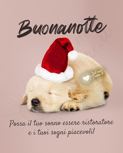 Buonanotte. Possa il tuo sonno essere ristoratore e i tuoi sogni piacevoli!