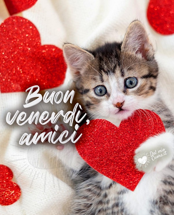 Buon venerdì, amici con gattino e cuoricini