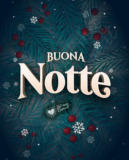 Buona notte natalizia
