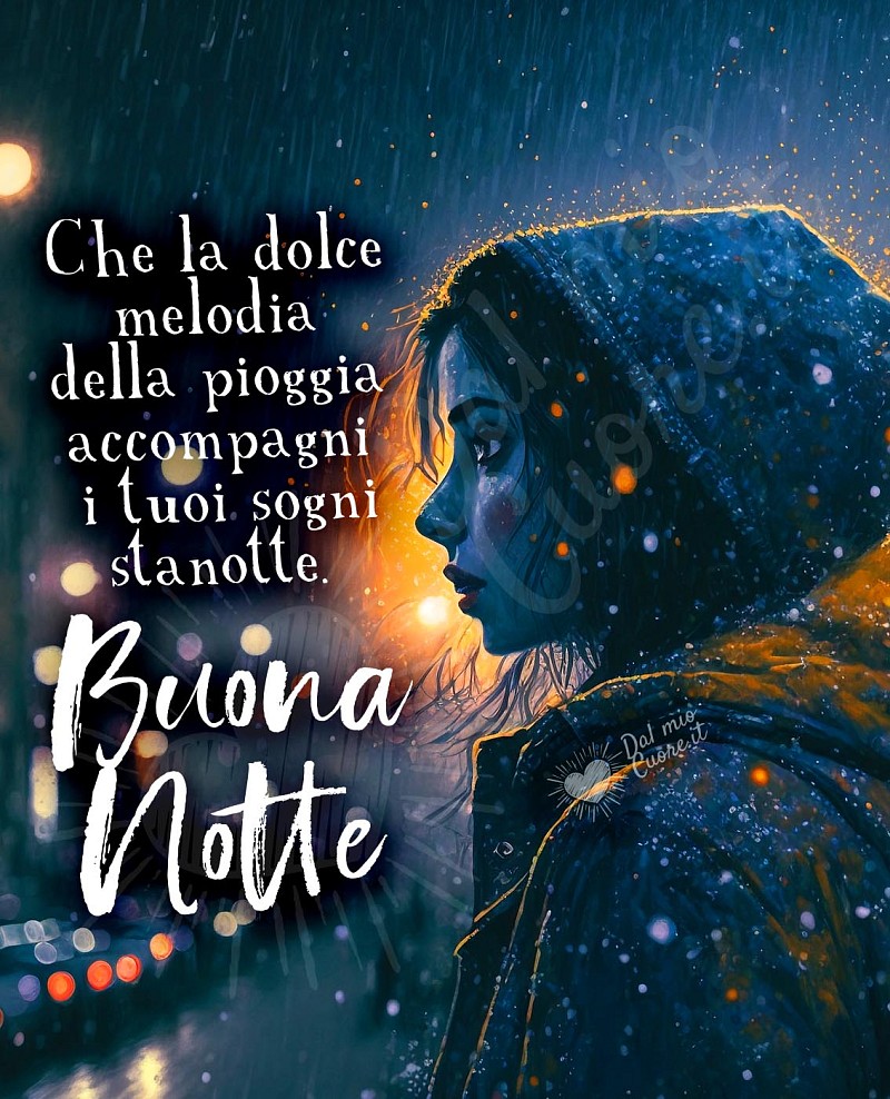 Che la dolce melodia della pioggia accompagni i tuoi sogni stanotte. Buona Notte