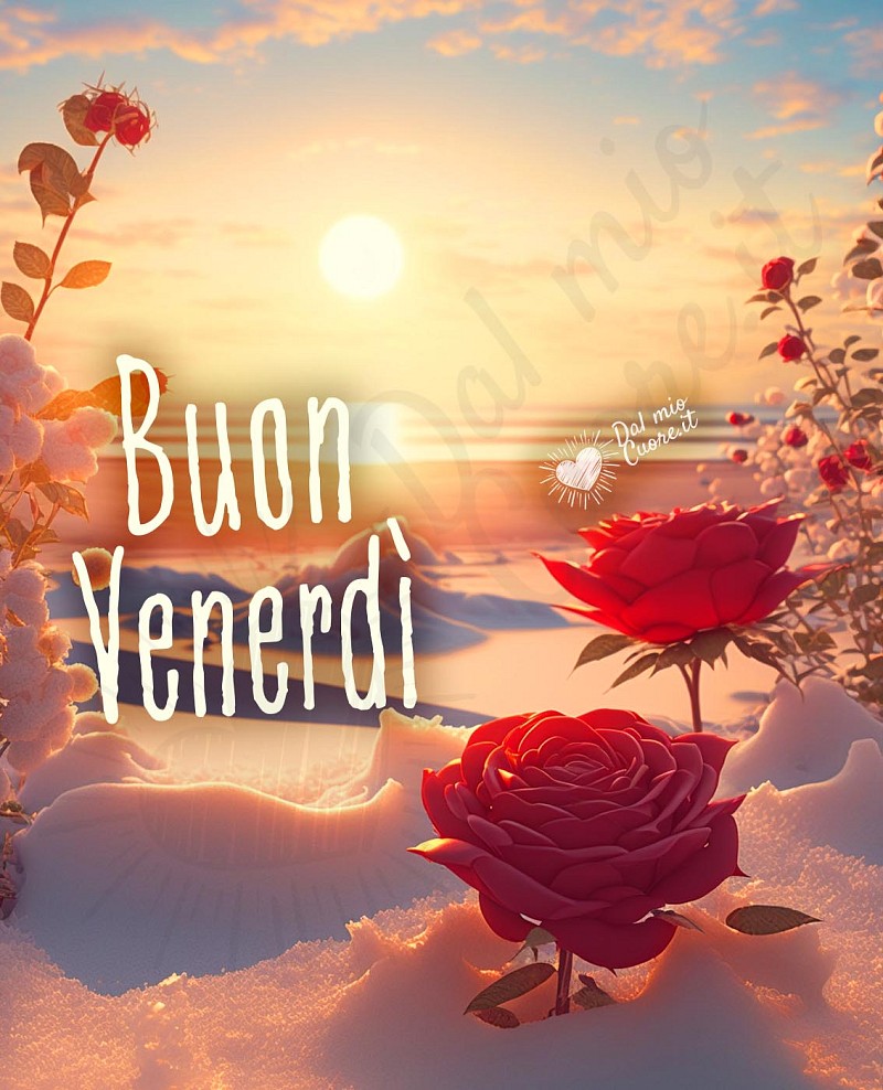 Buon venerdì immagine con rose, neve e mare