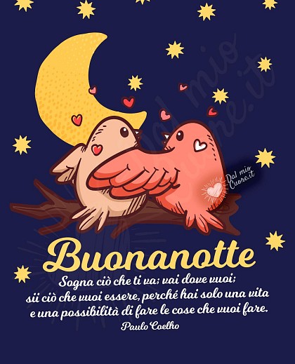Buonanotte con frase: "Sogna ciò che ti va; vai dove vuoi; sii ciò che vuoi essere, perché hai solo una vita e una possibilità di fare le cose che vuoi fare"