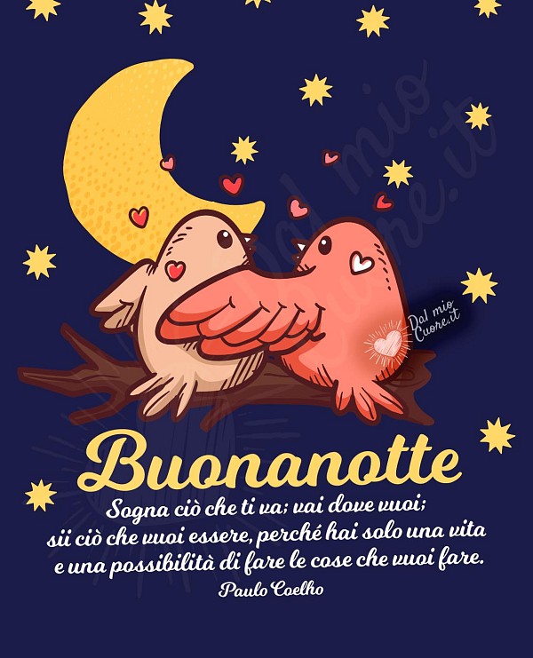 Buonanotte con frase: "Sogna ciò che ti va; vai dove vuoi; sii ciò che vuoi essere, perché hai solo una vita e una possibilità di fare le cose che vuoi fare"