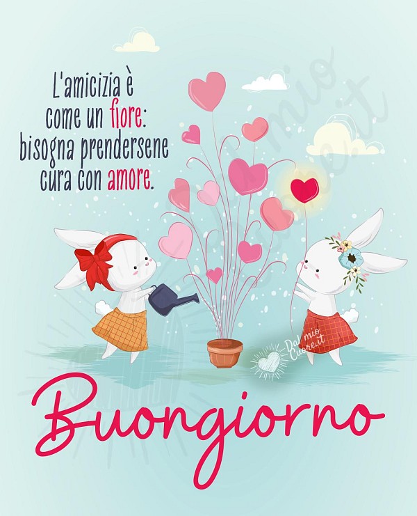 Buongiorno. Frase. L'amicizia è come un fiore: bisogna prendersene cura con amore.