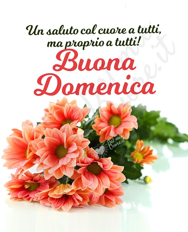 Un saluto col cuore a tutti, ma proprio a tutti! Buona Domenica