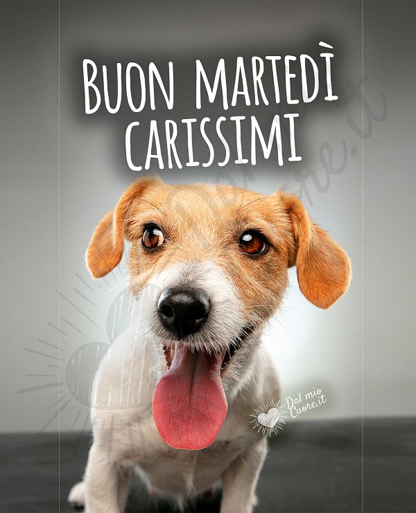 Buon martedì Carissimi