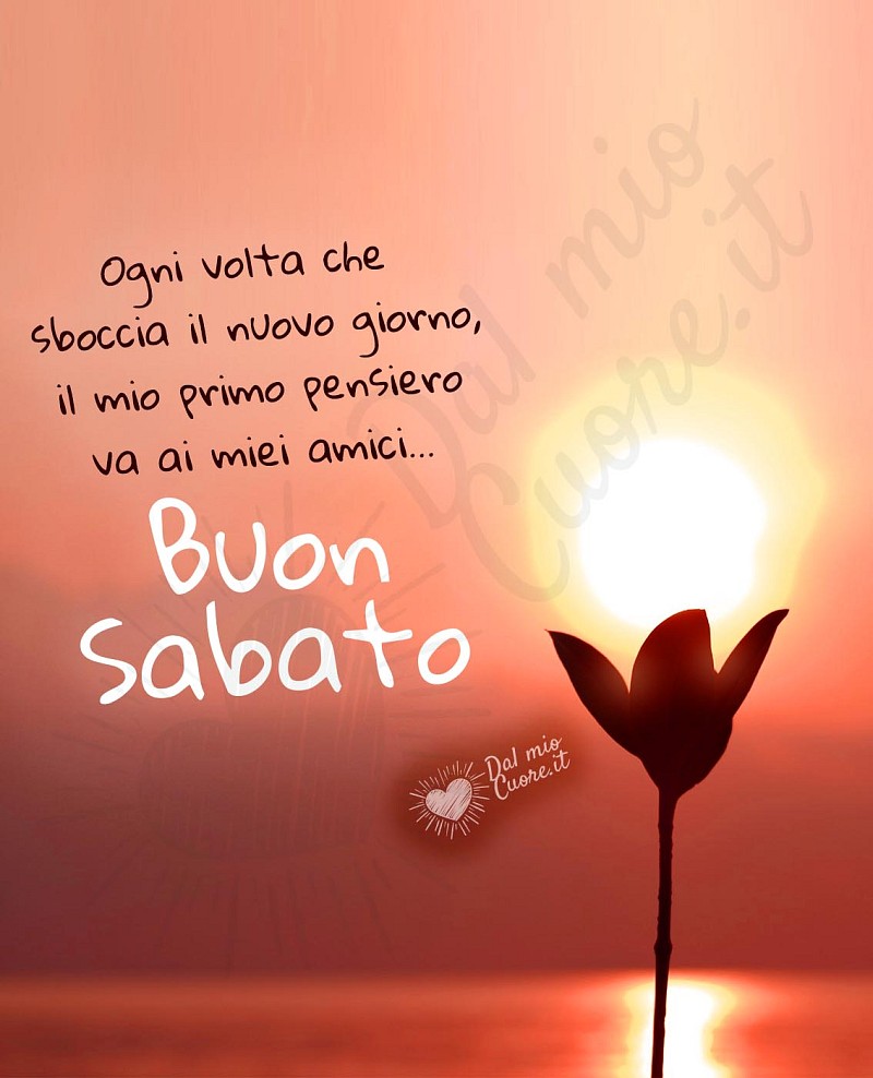 Ogni volta che sboccia il nuovo giorno, il mio primo pensiero va ai miei amici. Buon Sabato