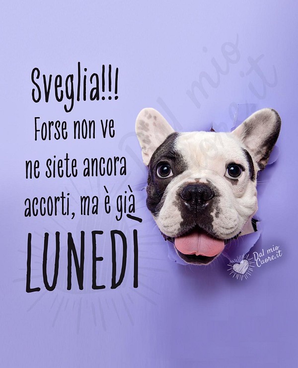 Sveglia!! Forse non ve ne siete ancora accorti, ma è già lunedì