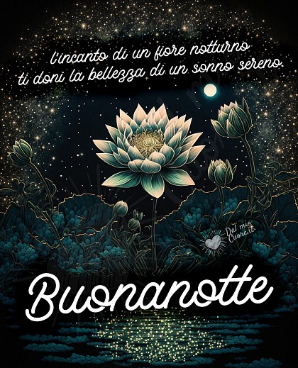 Buonanotte frase. L'incanto di un fiore notturno ti doni la bellezza di un sonno sereno