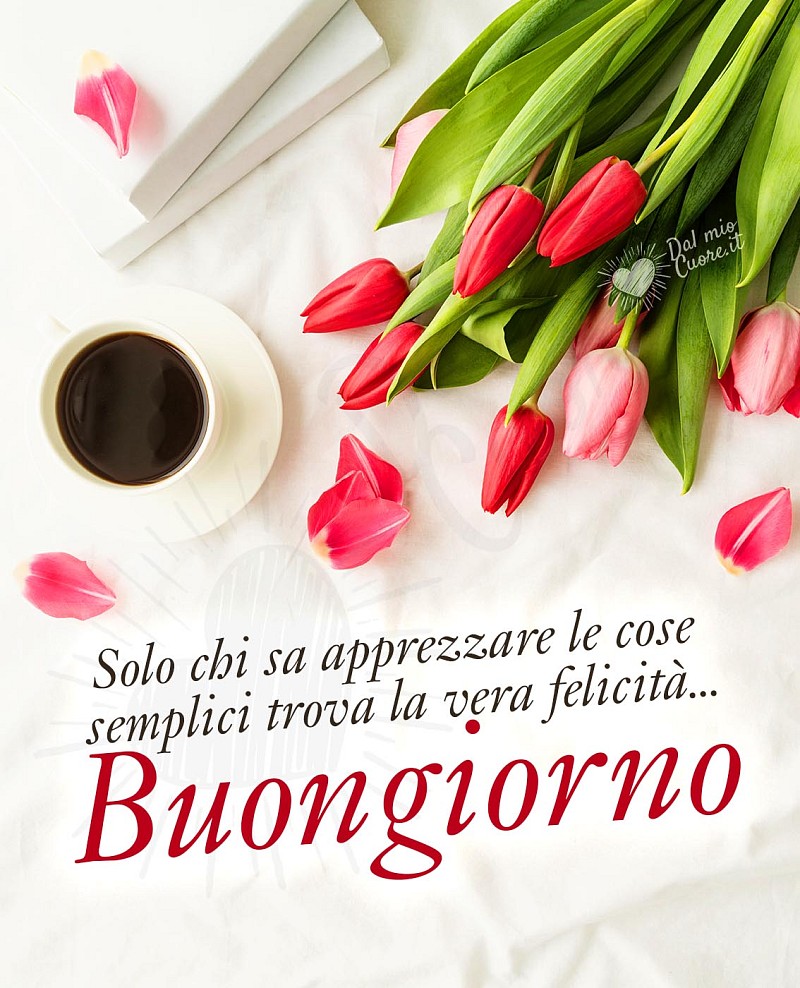 Buongiorno (Frasi): Solo chi sa apprezzare le cose semplici trova la vera felicità...