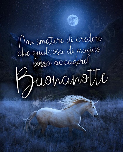 Non smettere di credere che qualcosa di magico possa accadere! Buonanotte