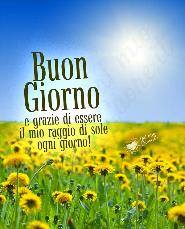 Buon giorno e grazie di essere il mio raggio di sole ogni giorno!