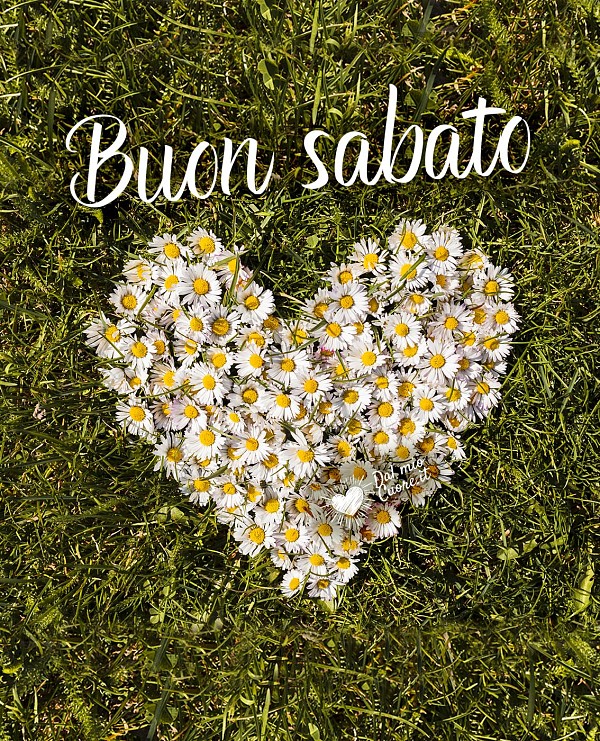 Buon sabato primaverile con cuore di margherite