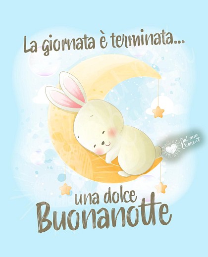 La giornata è terminata... una dolce buonanotte