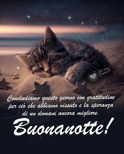 Concludiamo questo giorno con gratitudine per ciò che abbiamo vissuto e la speranza di un domani ancora migliore. Buonanotte!