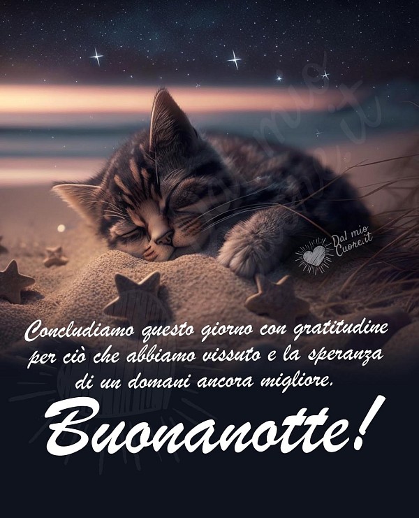 Concludiamo questo giorno con gratitudine per ciò che abbiamo vissuto e la speranza di un domani ancora migliore. Buonanotte!