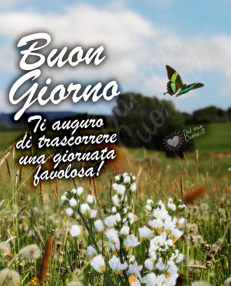 Buon Giorno. Ti auguro di trascorrere una giornata favolosa!