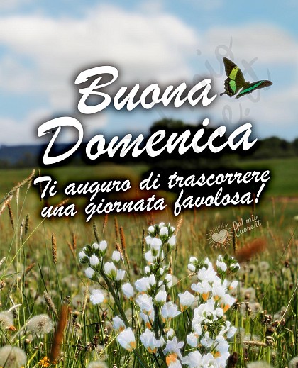 Buona Domenica. Ti auguro di trascorrere una giornata favolosa!