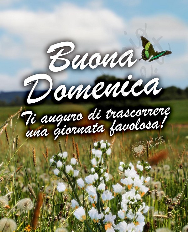 Buona Domenica. Ti auguro di trascorrere una giornata favolosa!